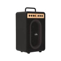 ลำโพงบลูทูธ TECHPRO VibeBox S3202 (8857816141579)