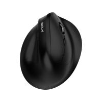 ราคา เมาส์ไร้สาย QPLUS Ergonomic Wireless Mouse 1952 Black (8858880000908)