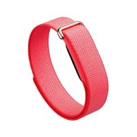 ราคา สายรัดข้อมือ Google Fitbit Air Berry (840353904323)