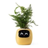 ราคา กระถางต้นไม้ PlantsIO Ivy Gen 2 Smart Planter (6976163920346)