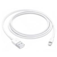 ราคา Apple Lightning to USB Cable (1m) (195949087691)