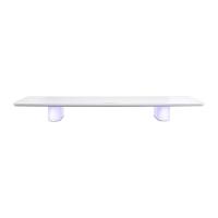ราคา แท่นวางจอ ERGONOZ LEVATOR LUMINAR Monitor Riser White (Width 100 cm) (8859810906826)