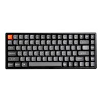 คีย์บอร์ดเกมมิ่ง Keychron K2 Max Swappable Gateron RGB Backlight Slient - Brown Switch (489497900826