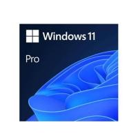 ราคา Microsoft Windows Pro 11 64-bit Eng Intl 1pk DSP OEI DVD OEM (FQC-10528#M.S) (889842905892)