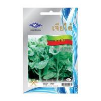 ราคา เมล็ดพันธุ์คะน้าใบ ตราเจียไต๋ (1006946)