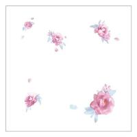 ราคา แผ่นฝ้ายิปซัม GYPROC 60x60x0.8 ซม. สีดอกโบตั๋น 10 ชิ้น/กล่อง (1137239)