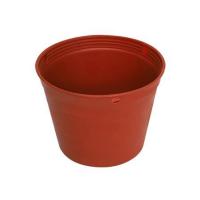 ราคา กระถางพลาสติกปากกลม PNP 4 นิ้ว สีอิฐ (1137517)