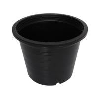 ราคา กระถางพลาสติกปากกลม PNP 8 นิ้ว สีดำ แพ็ก 50 ชิ้น (1137556)