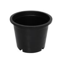 ราคา กระถางพลาสติกปากกลม PNP 6 นิ้ว สีดำ แพ็ก 50 ชิ้น (1137590)