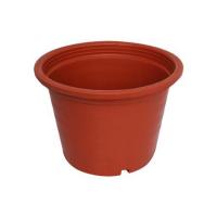 ราคา กระถางพลาสติกปากกลม PNP 10 นิ้ว สีอิฐ (1137642)