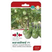 ราคา มะเขือเปราะ F1 หยาดทิพย์ ศรแดง (1146579)