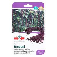 ราคา ถั่วฝักยาว โกเมนท์ ศรแดง (1146609)