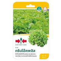 ราคา ผักกาดหอม(ผักสลัด) กรีนโอ๊คพลัส ศรแดง (1146682)