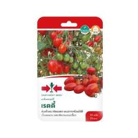 ราคา มะเขือเทศเชอร์รี่ F1 เรดดี้ ศรแดง (1146696)