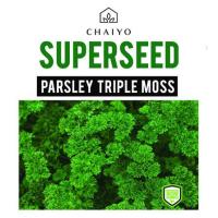 ราคา เมล็ดพันธุ์อิตาเลียนพาร์สลีย์ (ใบหยิก) ชัยโย 700 เมล็ด (1150635)