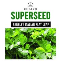 ราคา เมล็ดพันธุ์อิตาเลียนพาร์สลีย์ (ใบเรียบ) ชัยโย 140 เมล็ด (1150661)