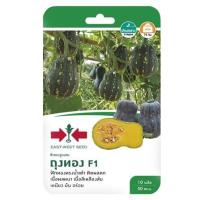 ราคา ฟักทอง F1 ถุงทอง ศรแดง (1153726)