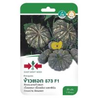 ราคา เมล็ดพันธุ์ฟักทอง F1 ข้าวตอก 573 ศรแดง (1153955)