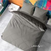 ราคา ชุดผ้าปูที่นอน 5 ฟุต 3 ชิ้น BED CLIP MICROTEX สีเทาอ่อน (1154384)