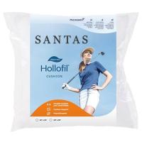 ราคา หมอนอิง SANTAS DACRON HOLLOFIL 16X16 นิ้ว สีขาว (1158820)