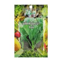 ราคา เมล็ดพันธุ์ผักคะน้าใบ กรีน การ์เด้น (1159647)