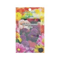 ราคา เมล็ดพันธุ์ดอกแอสเตอร์ กรีน การ์เด้น (1159723)