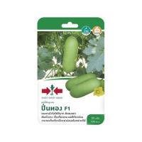 ราคา เมล็ดพันธุ์แฟงไส้ตันลูกผสม F1 ปิ่นทอง ศรแดง (1178247)