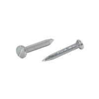 ราคา ตะปูคอนกรีตขาว DEXZON 1 นิ้ว 1 กก. (1184696)