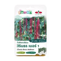 ราคา เมล็ดพันธุ์ ถั่วฝักยาวสีม่วง สิรินธร เบอร์ 1 ศรแดง 100 เมล็ด (1188503)