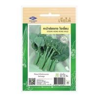 ราคา เมล็ดพันธุ์คะน้าฮ่องกงโอเชี่ยน ตราเจียไต๋ (1217060)