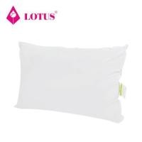 ราคา หมอนหนุนสุญญากาศ LOTUS 20X30 นิ้ว สีขาว (1220538)
