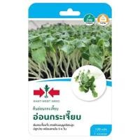 ราคา เมล็ดพันธุ์ต้นอ่อนกระเจี๊ยบ ศรแดง (1229589)