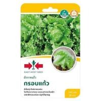 ราคา เมล็ดพันธุ์ผักกาดแก้ว กรอบแก้ว ศรแดง (1229591)