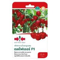 ราคา เมล็ดพันธุ์พริกฮาบาเนโรแดง เรดไฟเออร์ F1 ศรแดง (1230293)