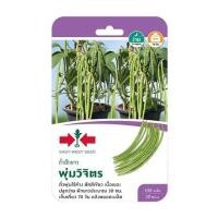 ราคา เมล็ดพันธุ์ถั่วพุ่ม พุ่มวิจิตร ศรแดง (1268510)