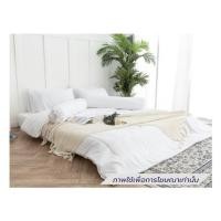 ราคา ชุดผ้าปูที่นอน 5 ฟุต (ชุด 6 ชิ้น) SANTA BEDDING สีขาว (1286818)