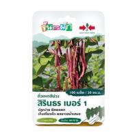 ราคา เมล็ดพันธุ์ ถั่วแขกสีม่วง สิรินธร เบอร์ 1 ศรแดง 100 เมล็ด (1188399)