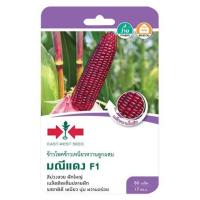 ราคา เมล็ดพันธุ์ข้าวโพดข้าวเหนียว F1 มณีแดง ศรแดง (1229593)