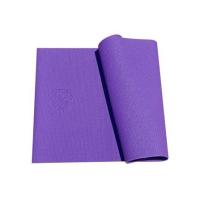 ราคา Exeo แผ่นรองออกกำลังกายเสื่อโยคะ PVC 6 มม. รุ่น AB8004