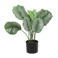 ราคา ต้นคล้านกยูงประดิษฐ์ LALA HOME 74 ซม. (1144710)