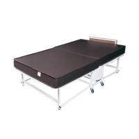 ราคา เตียงพับพร้อม TOPPER THAIBULL SSTPE245-105(TNR) สีขาว (1302992)