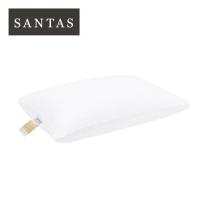 ราคา หมอนหนุน ใยสังเคราะห์ SANTAS MEMORELLE 19x29 นิ้ว สีขาว (1143364)
