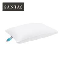 ราคา หมอนหนุน ใยสังเคราะห์ SANTAS DREAMESSENCE 19x29 นิ้ว สีขาว (1145601)