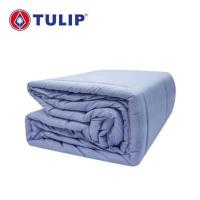 ราคา ผ้านวม TULIP DELIGHT 60X80 นิ้ว 60242-DL510 (1219896)