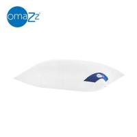 ราคา หมอนสุขภาพ นาโนดาวน์ OMAZZ LOFTY 20x30 นิ้ว สีขาว (1247382)