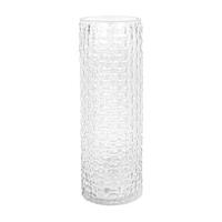 ราคา ของตกแต่ง แจกันแก้ว HOME LIVING STYLE GALA 10.5x30 ซม. สีใส (1296448)