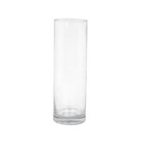 ราคา ของตกแต่ง แจกันแก้ว HOME LIVING STYLE ELLA 8x25 ซม. สีใส (1296285)