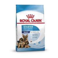 ราคา อาหารสุนัข ROYAL CANIN MAXI STARTER 4 กก. (1200008)