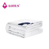 ราคา ไส้ผ้านวม LOTUS MICRODOWNIA SUMMER 100X90 นิ้ว สีขาว (1209812)