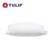 ราคา หมอนหนุน ใยสังเคราะห์ TULIP MICROPLUS 06024 19x28 นิ้ว สีขาว (1223861)